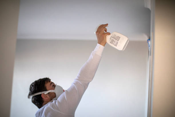 Best Mold Testing  in Browns Mills, NJ