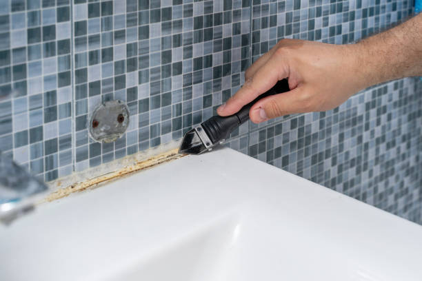 Best Mold Removal Specialists  in Browns Mills, NJ