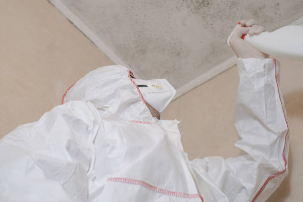 Best Residential Mold Removal  in Browns Mills, NJ